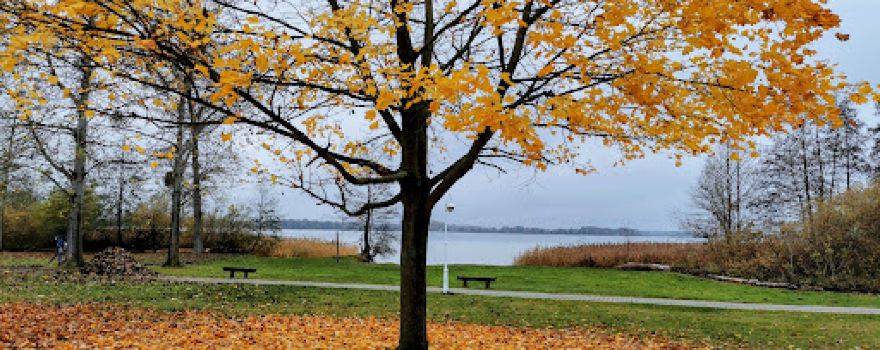 Naturcampingplatz am Parsteinsee