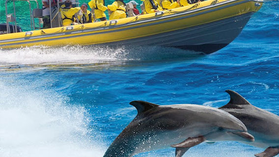 North Coast Adventure Boat trip