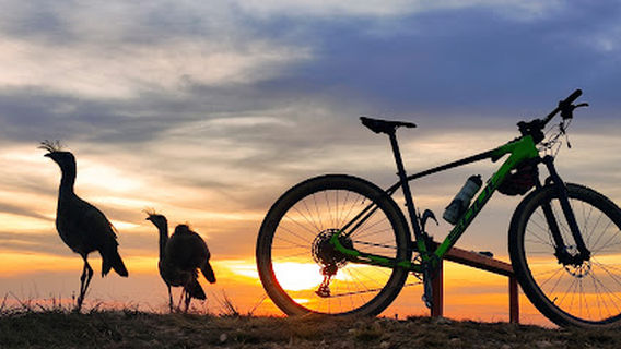 Torre de TV de Barroso
