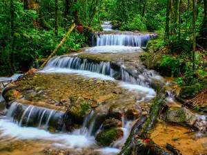 Los Gigantes Sendero