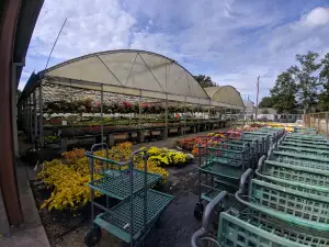 Clegg's Nursery - Denham Springs