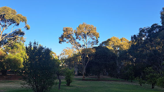 Golden Grove