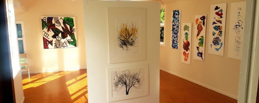 Rhondda Greig Studio Gallery