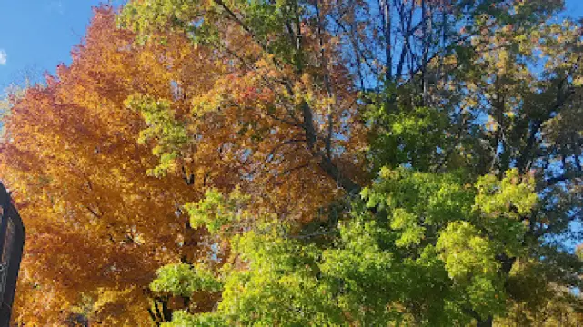 Hermann Heights Park