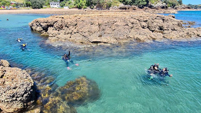 Waiheke Dive and Snorkel