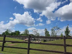 Kalisto-Tierpark