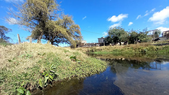 Cascada de Miahuatlán