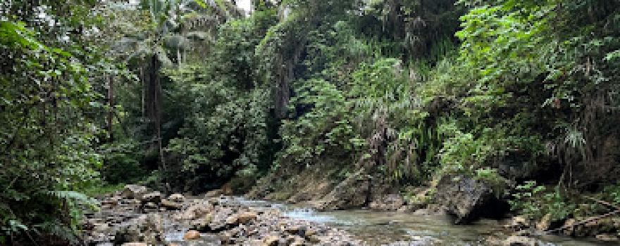 Sungai Gungun