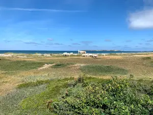 Vesterlyng Strand