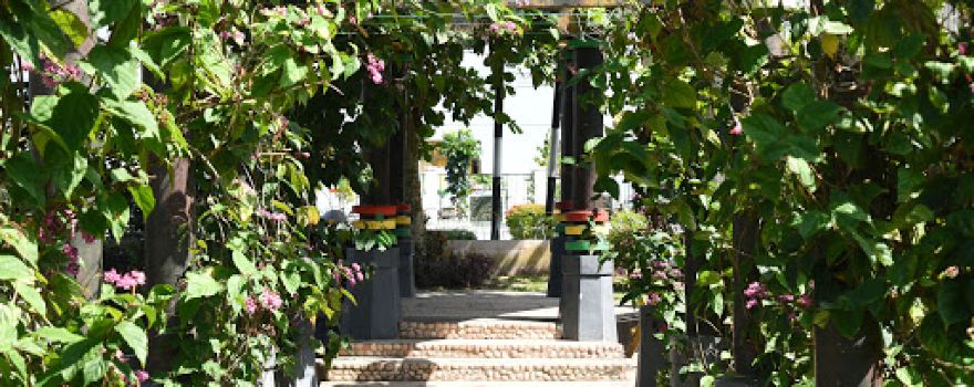 Taman Daun