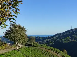 Hemşin Creek