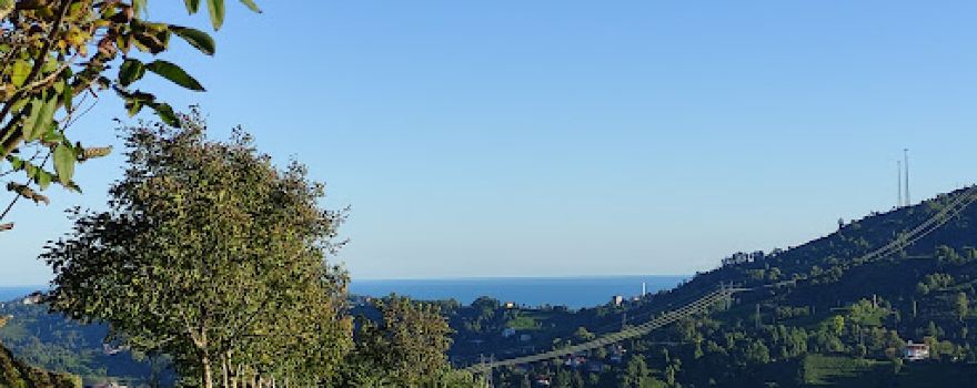 Hemşin Creek
