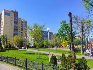 Парк Free Wi-Fi