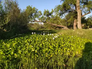 Balneario Villa San Isidro