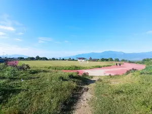 Stadion Atletik Mini Petobo