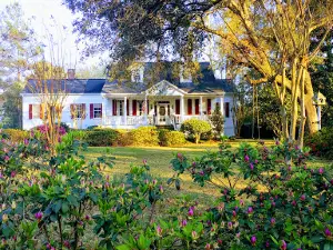 Azalea Park