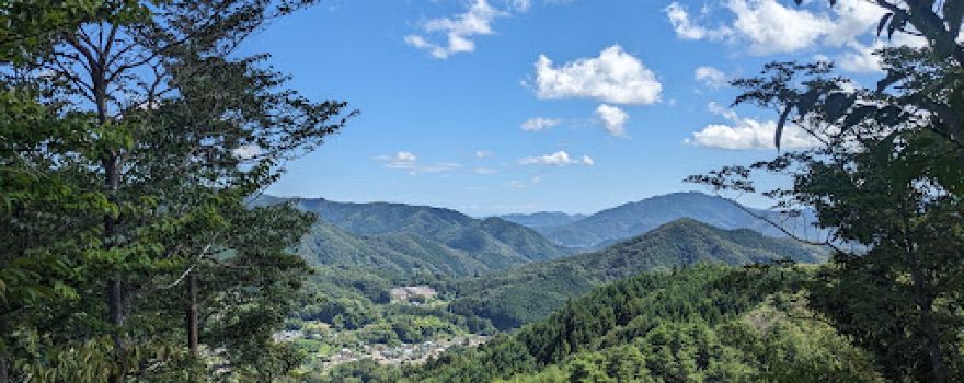 八重山
