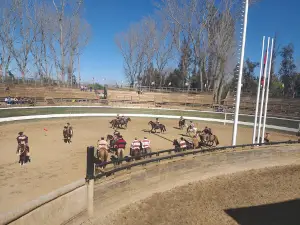 Estadio de Pelarco