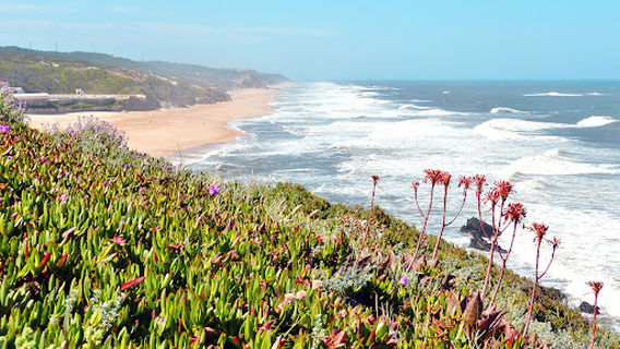 Praia das Pedras Negras
