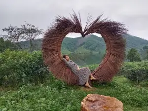 Thác Vũ Môn