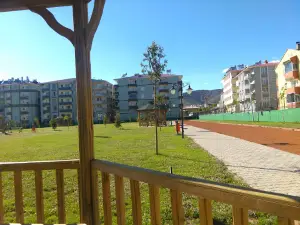 Football Field