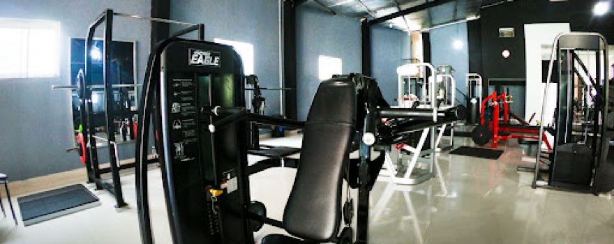 Fitverse Wellness