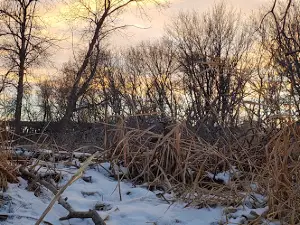Smith Grove Wildlife Management Area