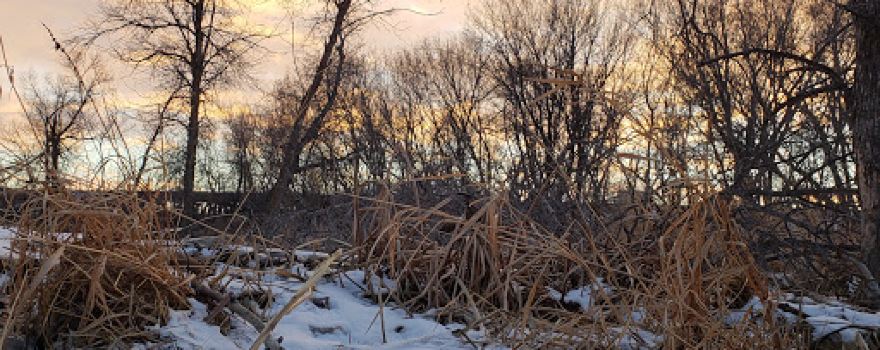 Smith Grove Wildlife Management Area