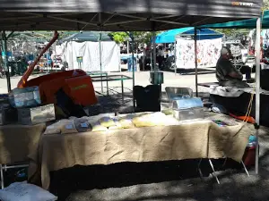 Langenhoven Mark / Market
