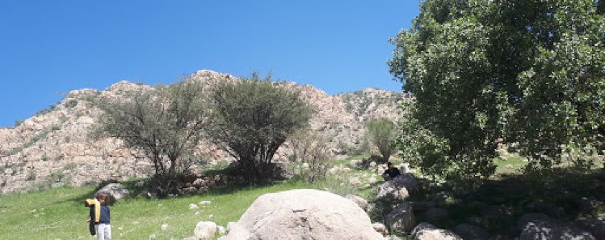 Khomeh Zar Tourism Attraction