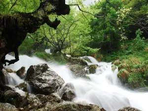 Regional Nature Reserve Zompo The Schioppo