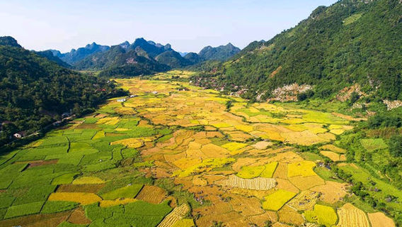 Nhà Văn hóa. Thôn Nà Lai