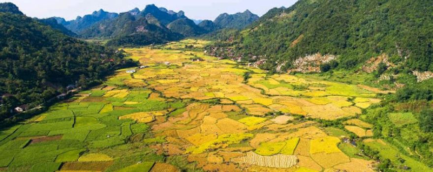 Nhà Văn hóa. Thôn Nà Lai