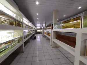 Museo Ictícola del Beni