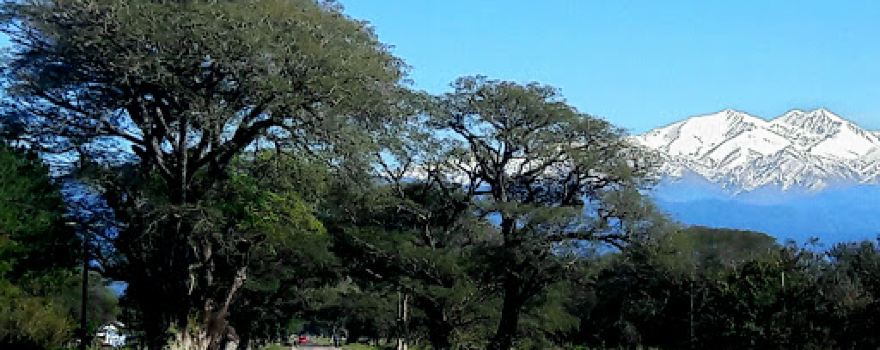 Estadio de Santa Ana