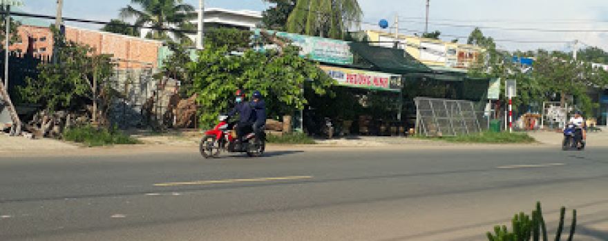 Shops Hoa Lan Và Cây Kiểng Cây Phong Thủy Phương Minh