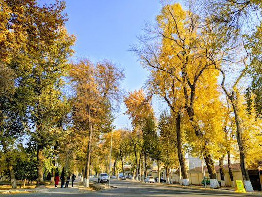 Vuelos de Estambul a Ferganá