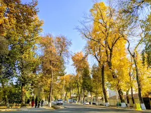 Сentral park
