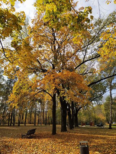 Park Anička