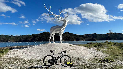 ART🎨】 White Deer | Trip.com 石巻