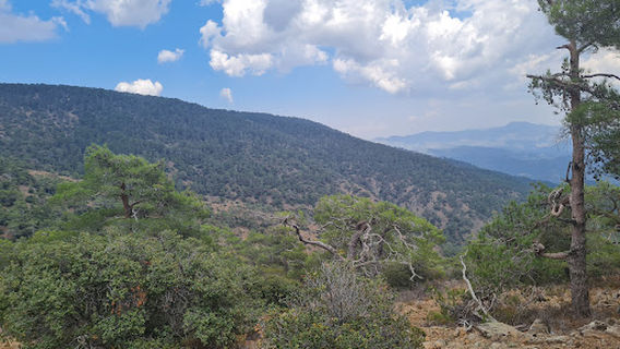Μονοπάτι της Φύσης Πουζιάρης (Pouziaris Natural Trail)