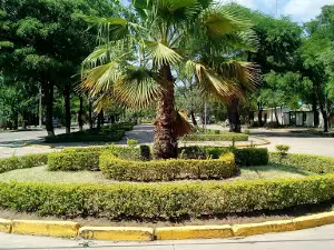 Plaza on August 6