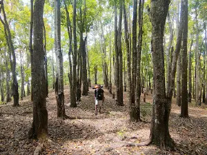 Gunung binone