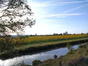 Camping L'estuaire