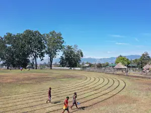 National Sports Institute