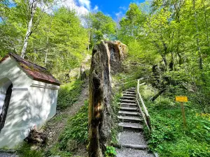 Wachsender Felsen Usterling