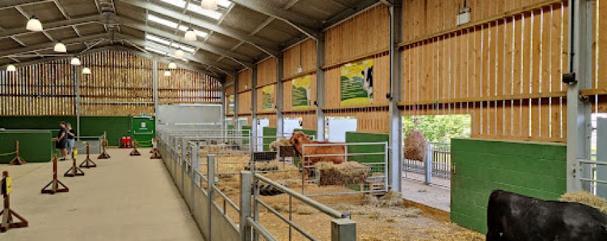 Chobham Adventure Farm