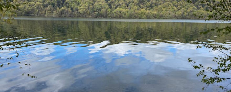 Rob's Trail Preserve - Hemlock Lake