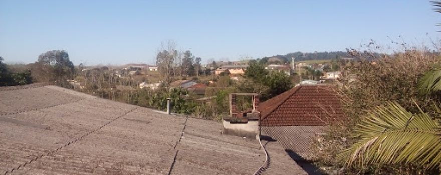 Laranjeira, Vicente Dutra