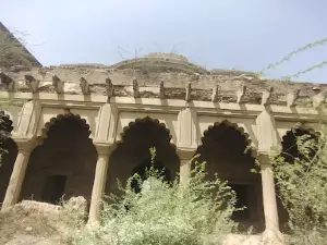 Pinahat Fort